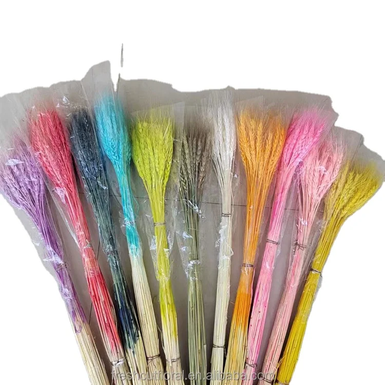 Hot Sale Home Decoration Natural Craft Dried Flowers Multi-colored Real Dried Flowers Wheat
