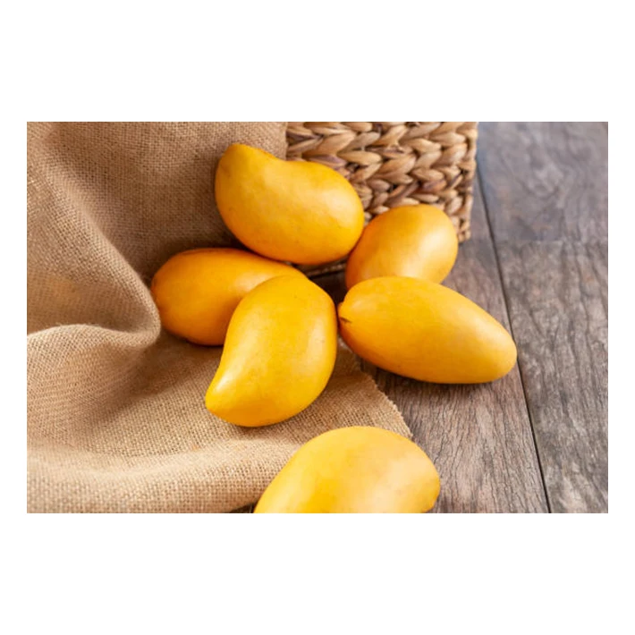 Premium Mangos 4 Varieties (ataulfo, Kent, Keitt, Tommy Atkins) High Quality, Best Price, Directly from Mexico Manufacturers -