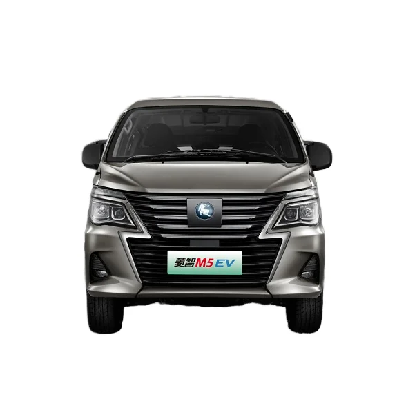 Chinese Luxury Mini MPV EV Van New 7/9 Seat Business Car High-Speed Light Interior Single Drive R15 Left Camera-All Electric!