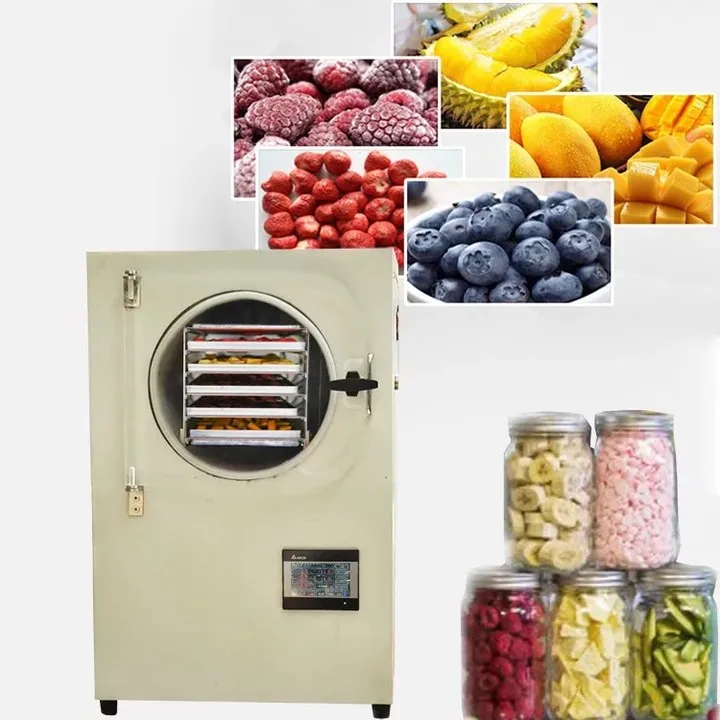 4-6kg Freeze Dryer Strawberry Pitaya Lyophilizer for Fruits and Vegetables