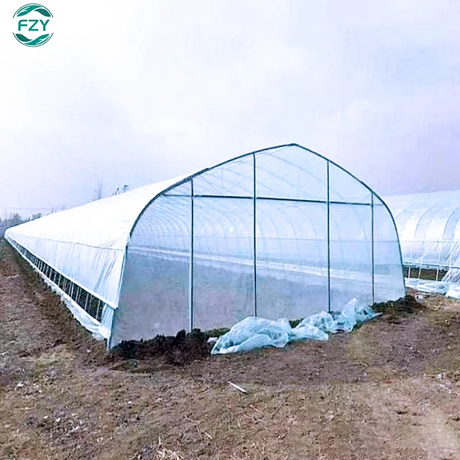 Manufacturer of low-cost flower planting tunnel greenhouse kits film single span greenhouse frame structure