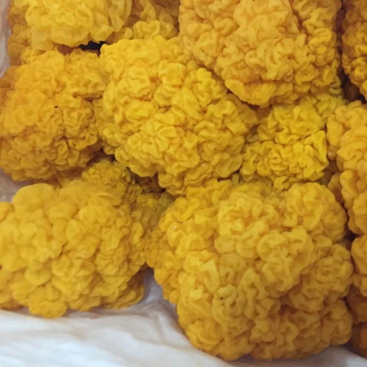  Золотистый гриб Detan Fresh Tremella Aurantialba