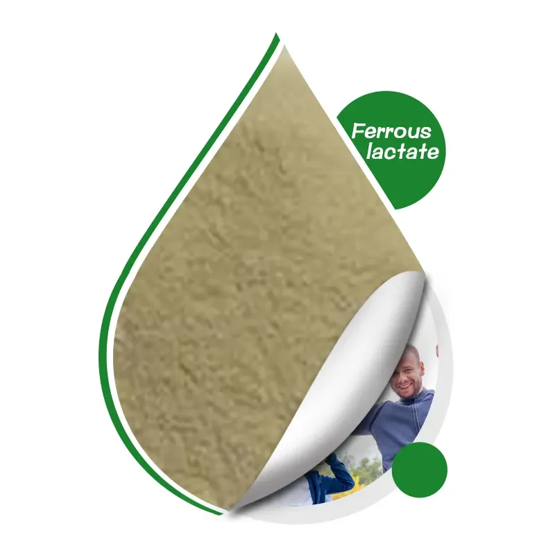 China Factory Wholesale Ferrous Lactate Fast Delivery Food Additives Nutritional Enhancer Ferrous Lactate Powder For Sale