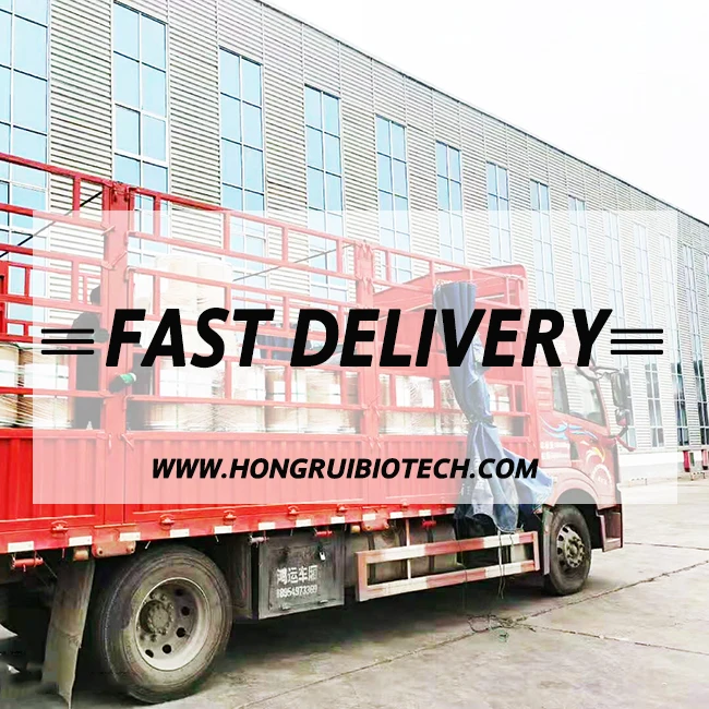 Натуральный корень зингибера лекарственного 1-10% порошок экстракта имбиря 5% имбиря