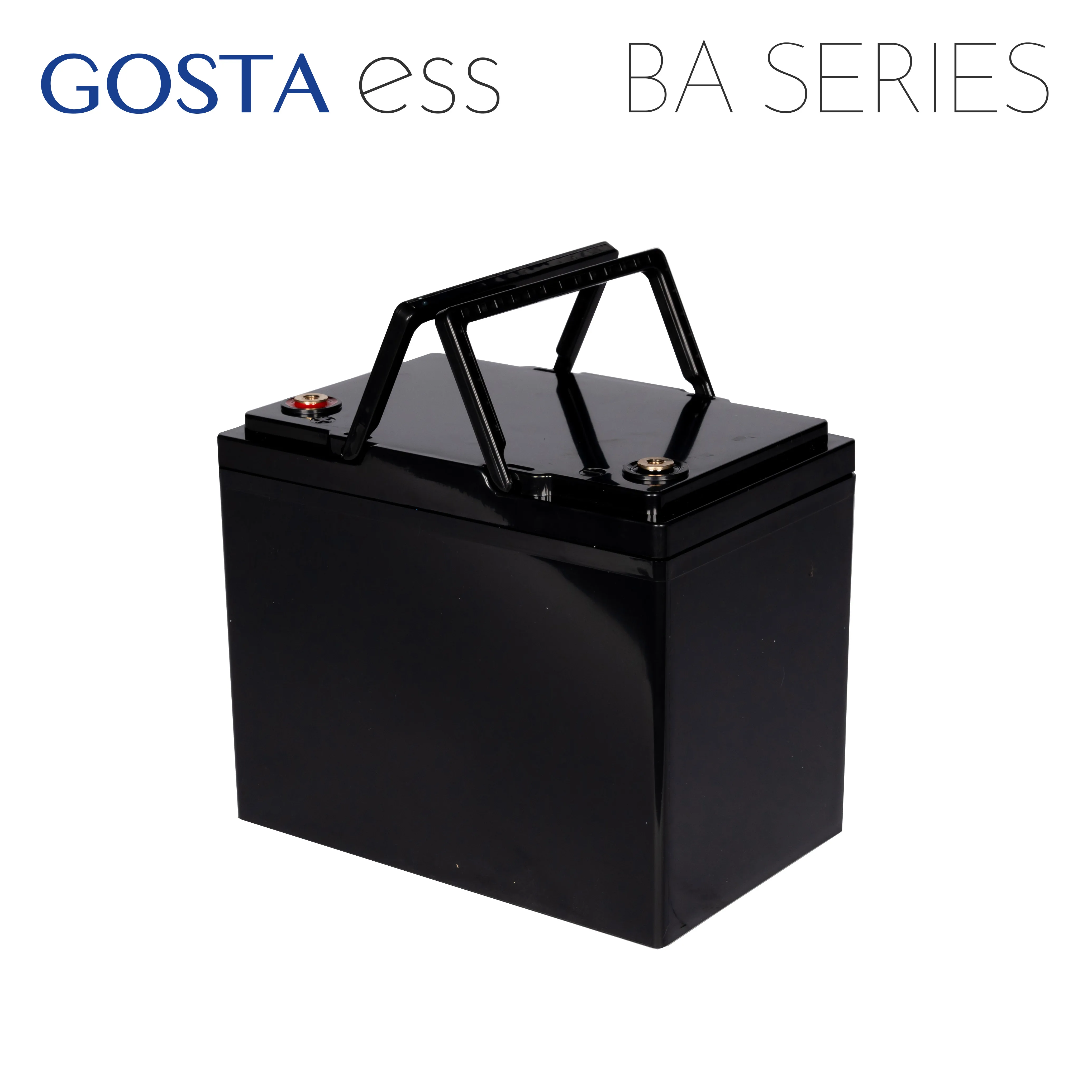 GOSTA BA25100 BA серии 25 6 В 100ah литий-ионный BMS компактный дизайн оптовая продажа батарея питания