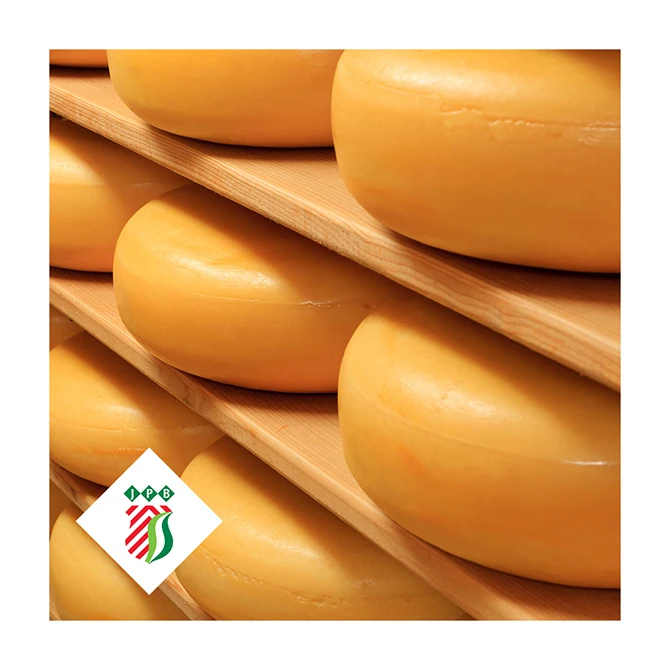 Голландские голландские товары Премиум-Качества Emmental cheese Holland