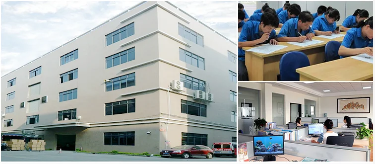 paste-pic-dp_uuid_b7zi5