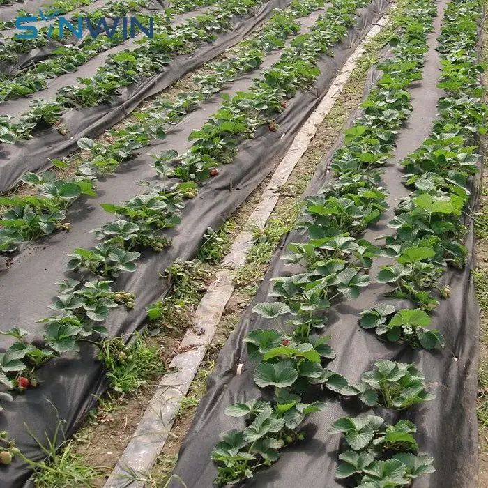 Белая Нетканая ткань, защита от мороза, нетканый материал для сельского хозяйства