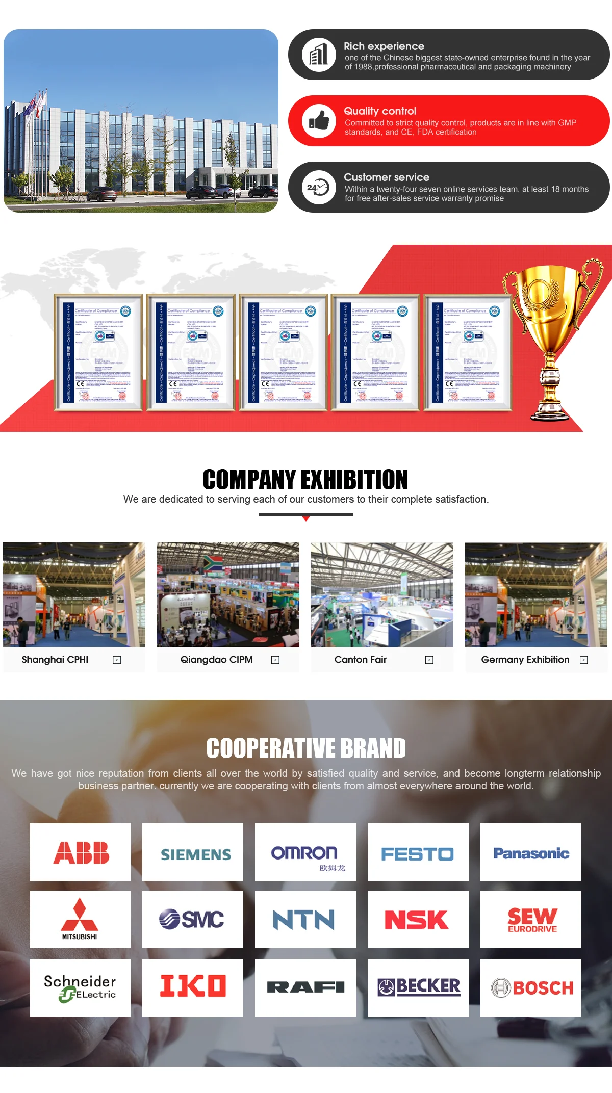 Tomato Cherry  Blueberry Lime Pillow Type Packing Machine China Factory Price