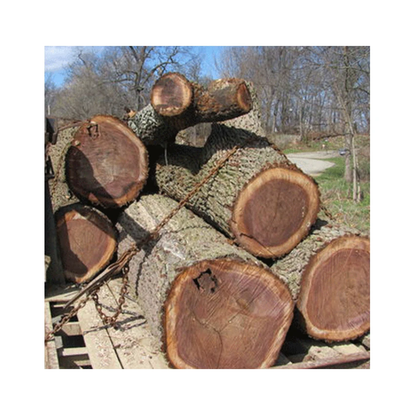 Hot Sale Best Quality Custom Teak Wood Logs Pine and Red Cherry Woods
