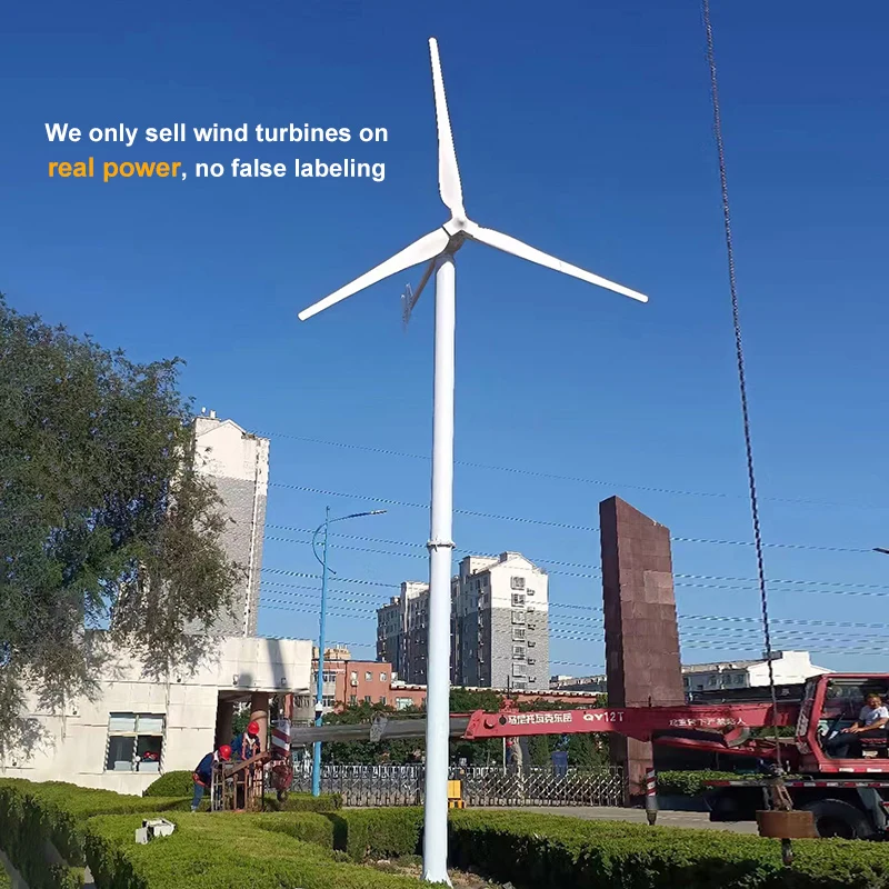 Competitive price 10 kilowatt wind turbine horizontal axis wind mill generator for farm