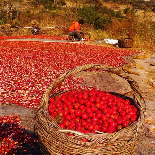 Chinese OEM & ODM  No Artificial Preservatives Hawthorn Vinegar Powder