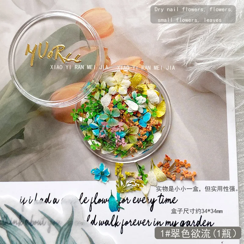 Mix Design Nail Art Dried Flowers Mini Real Flowers 3D Natural Flowers Nail Decorations for DIY Craft Accessories