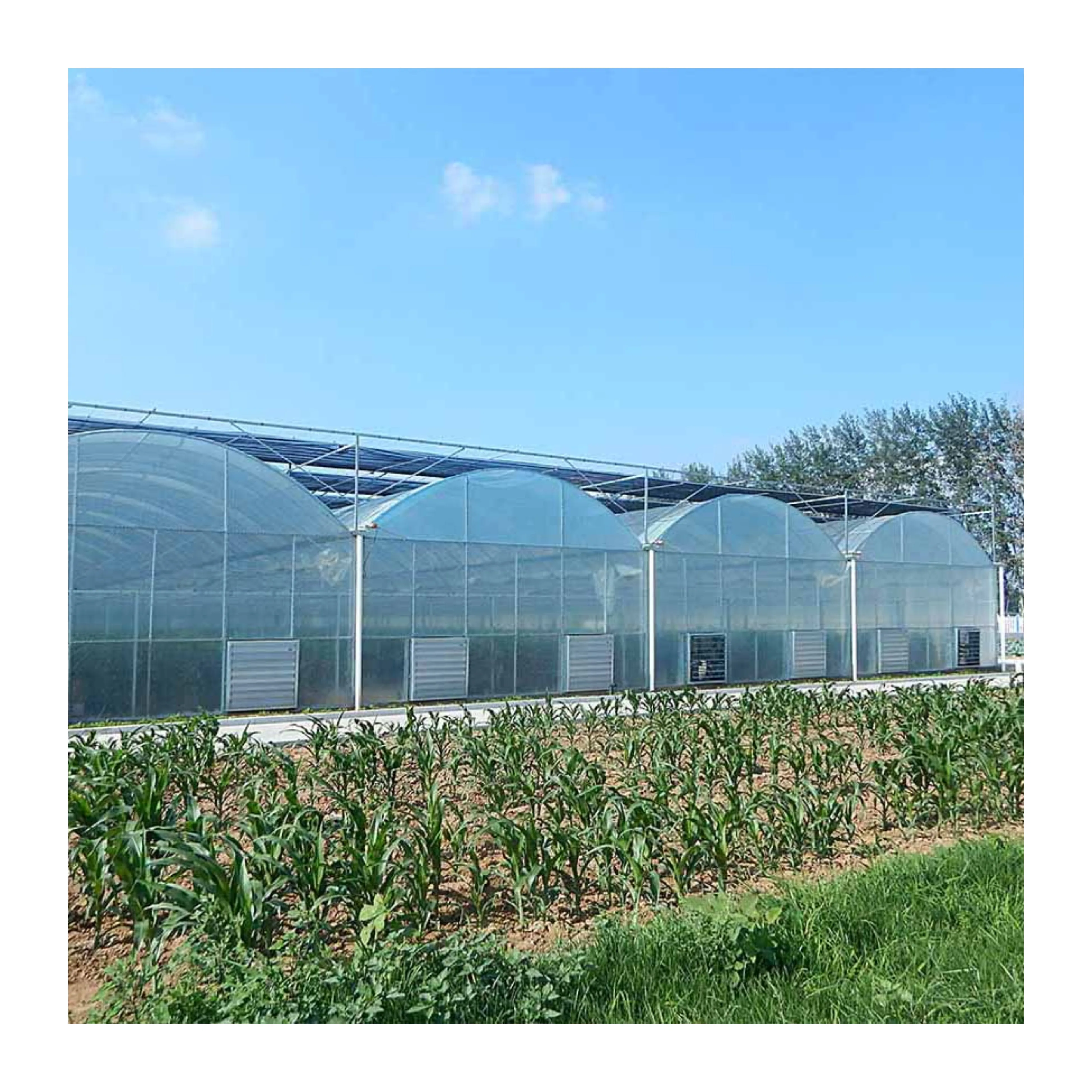 Worth buy multi span polytunnel greenhouse for sale