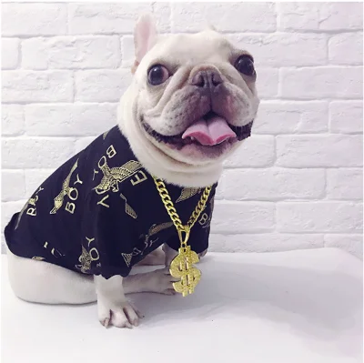 Wholesale Pet Dog US Dollar Pendant Necklace with USD Currency Money Sign Charms Stainless Steel Golden Cord Link Chain