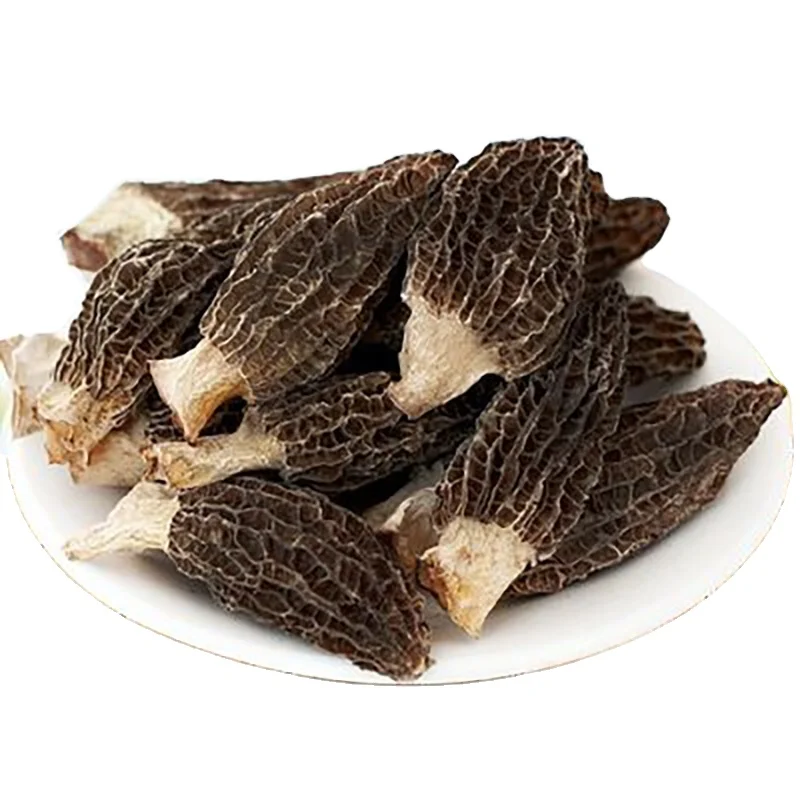 
Organic morchella esculenta wholesale morchella esculenta dried morel mushroom price 