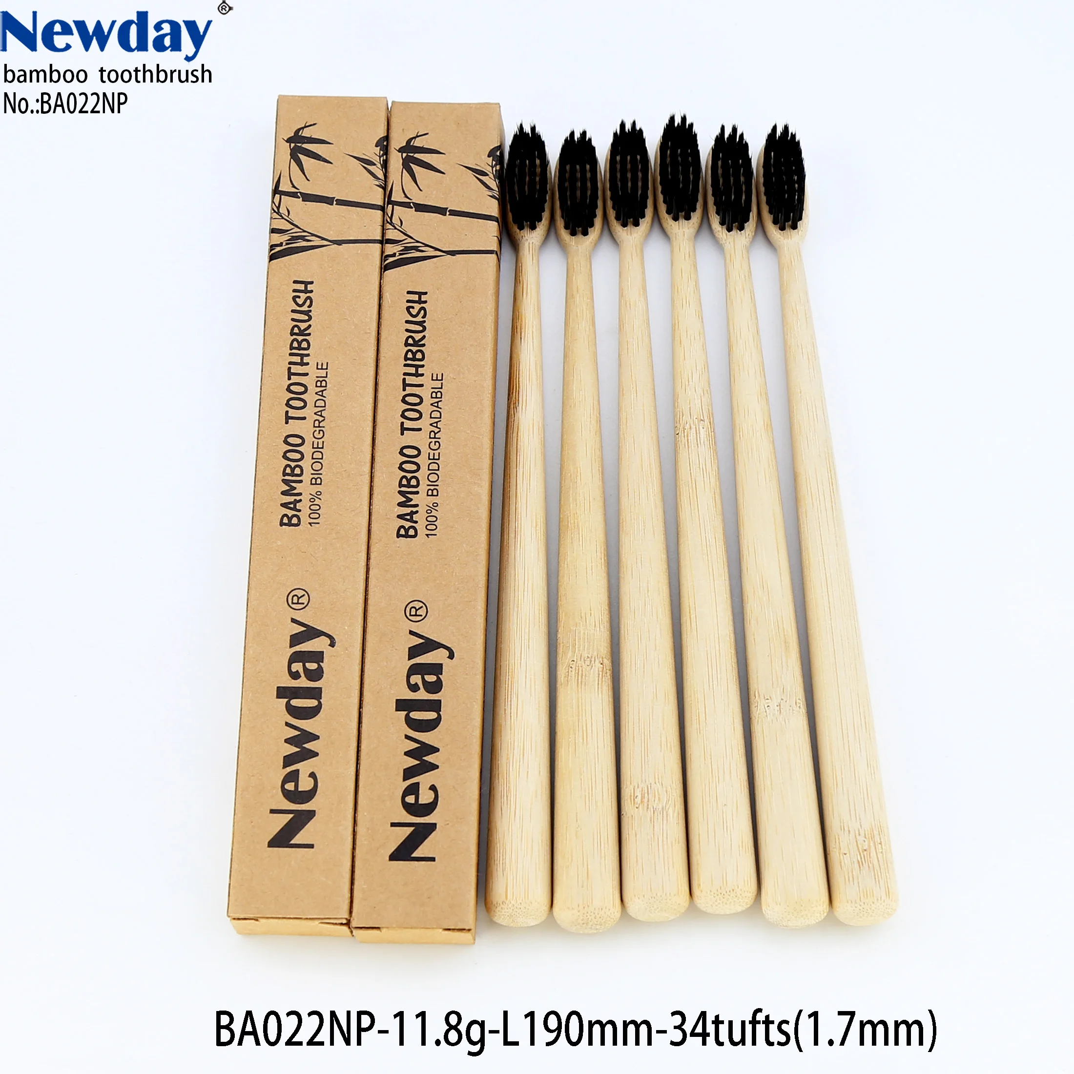 BA022-NP-200109 (1)1