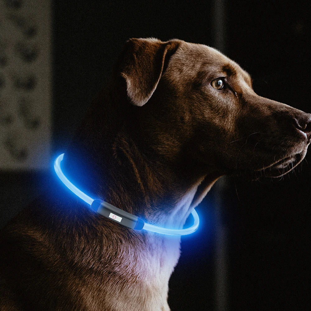 USB Charging Adjustable Pet Dog Collar LED Rechargeable Night Flashing Luminous Dog Collars Plastic Solid Neck Collar for Dogs