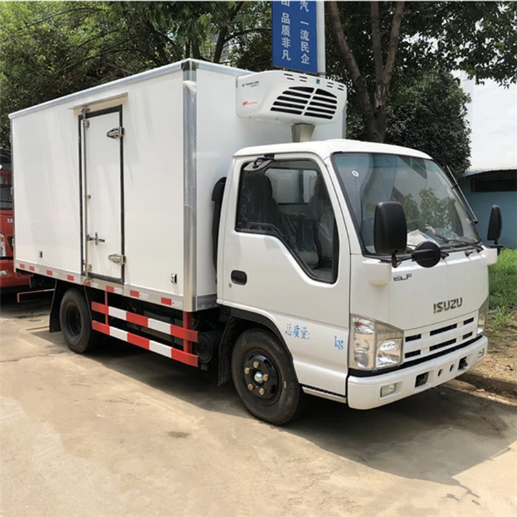 Japan brand 4x2 Mobile Food Freezer Van Refrigerator Truck For African Market
