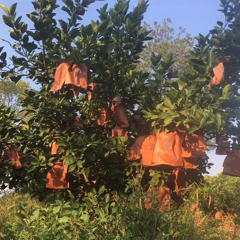 Paper Mango Bag Fruit Protection Growing Bag