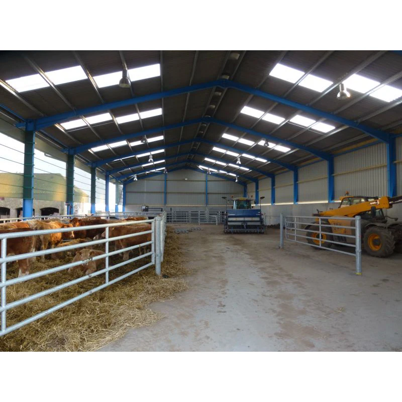 small prefab cattle house / galvanized steel portal frame cow sheds with metal materials