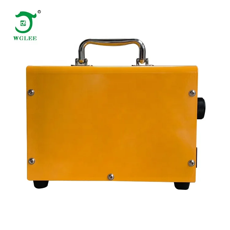 Factory direct 10g  best quality portable ozone generator ozone disinfection machine for home hotel office room