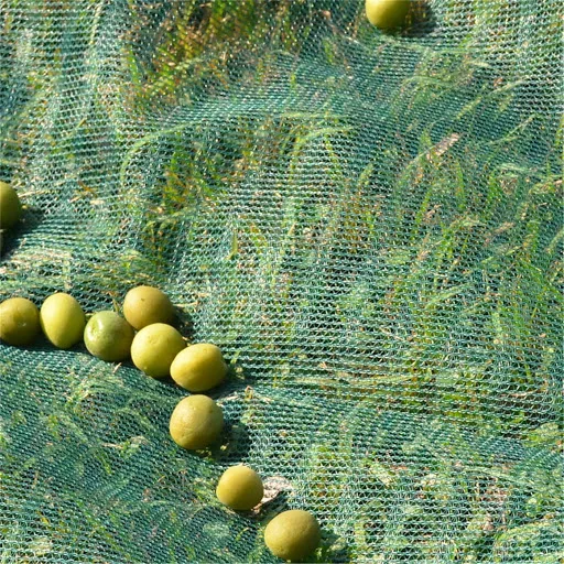 HDPE high quality olive tree harvest nets for Italy