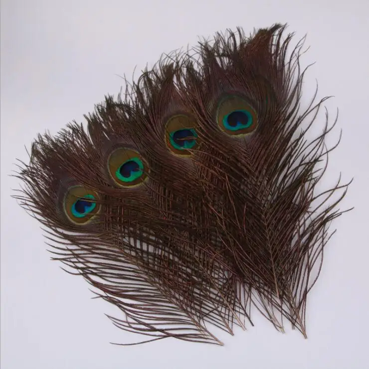 Multiple Peacock Feather Tail Pheasant Tail Rooster Feather