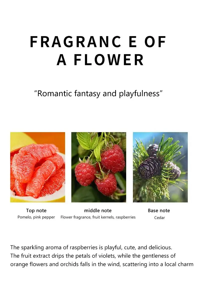 Wholesale Custom Unisex Perfume Brand 80ml Fragrance Perfume Long Lasting Good Quality Original Women Floral Eau De Toilette