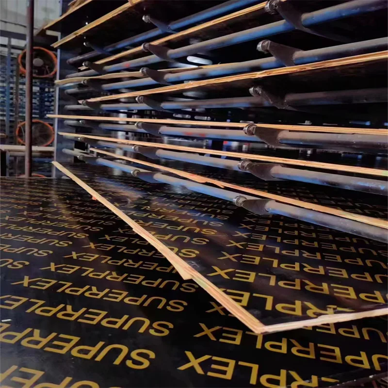 Container marine plywood for boat Quality marine wood plywood Factory Direct Sale laminated marine plywood