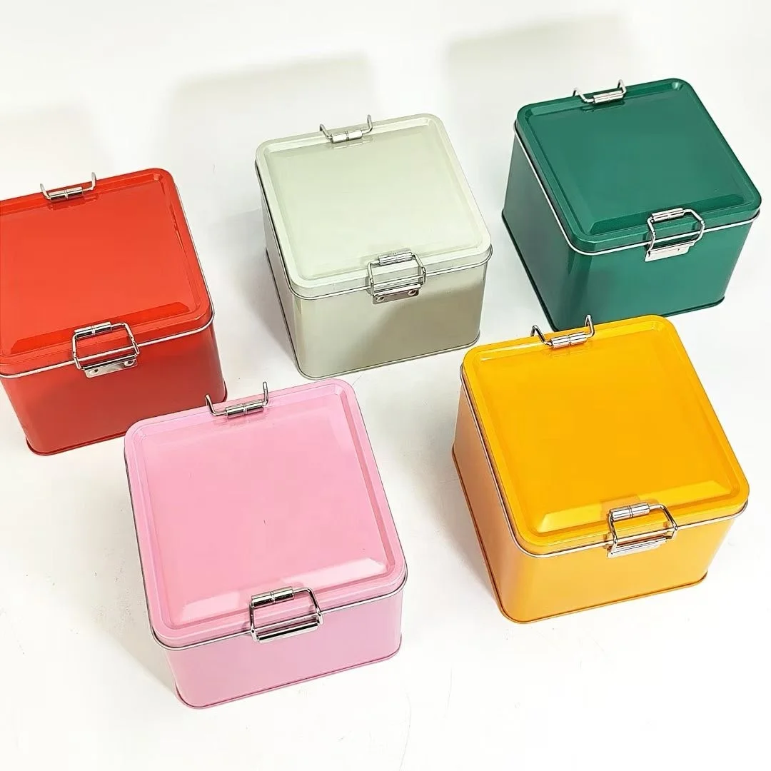 Novelty Empty Cookie Biscuits Storage Metal Box Square Tin with Buckle Lid