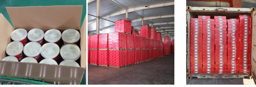 Brix.28-30% canned  tomato paste with 400g in China