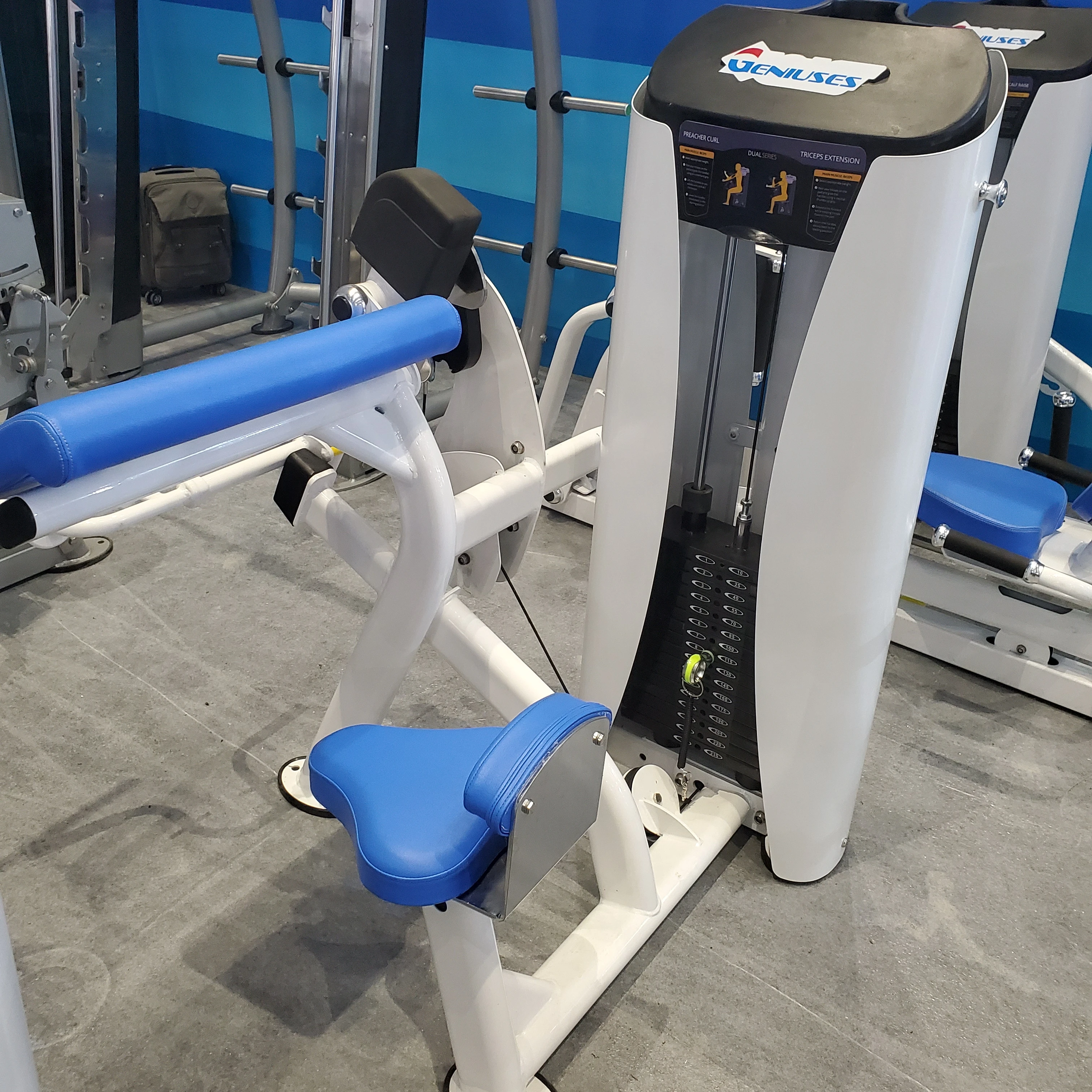 W-8001biceps curl/triceps extension gym equipment