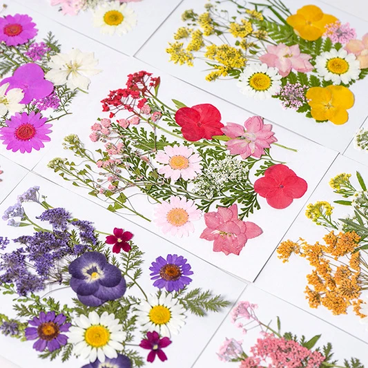 Cheap Small Real Natural Preserved Dried Flowers Plant Petals For Resin Candle Soap Jewellery Making Art