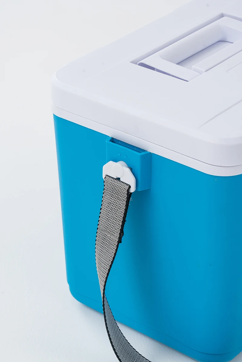 Wholesale Picnic 10L Ice Cooler Box Outdoor Camping Travel Insulation Cooling Box Portable Mini Beer Bucket