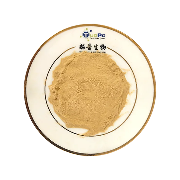 Enriched Natural Powder High Fiber nutrition Bulk Ingredients Food grade additives beer yeast extract