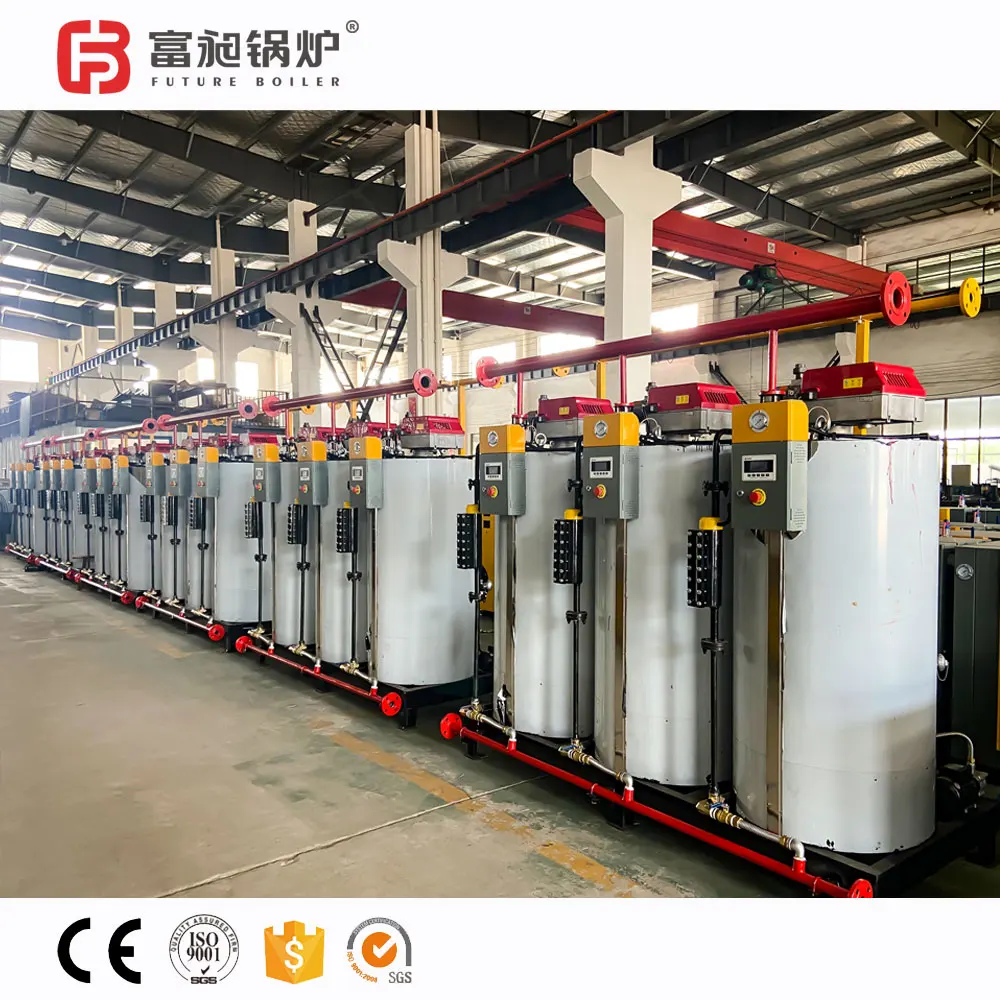 Mini 9kw 12.9kg/Hr Electric Steam Generator/Boiler for Cooking Food