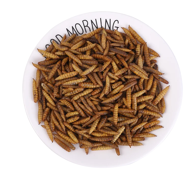 Crown Dried Black Soldier Fly Flies Larvae for Bird Pet Food High Protein BSF Powder