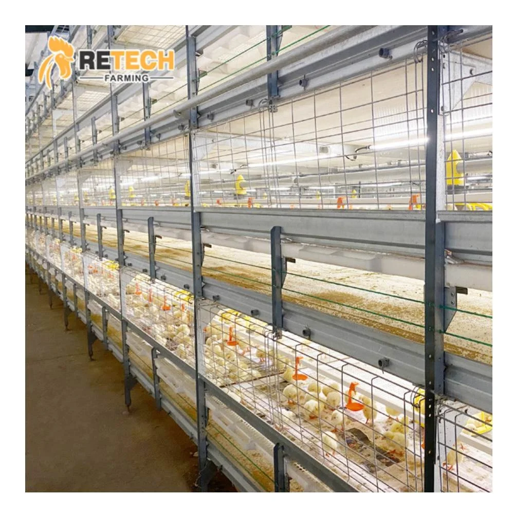 Дешевая цена автоматическая Бройлер оборудования пород цыплят-бройлеров