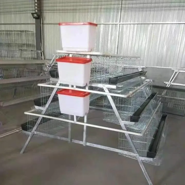 hot sales chicken cage system for layer in uganda market