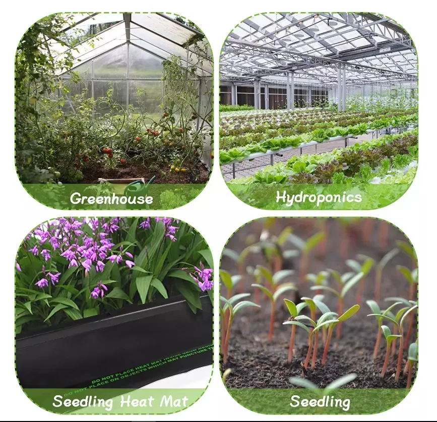 Thickened Agriculture Greenhouse Seed Planting Plastic PS Nursery Tray Plant Growing Pots Seed Starter Grow 15 Cell Seed Tray
