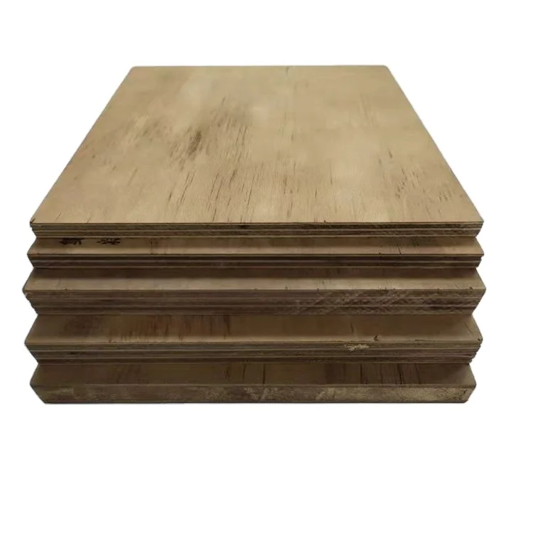 China Professional Manufacture Waterproof Door Construction Plywood 18mm