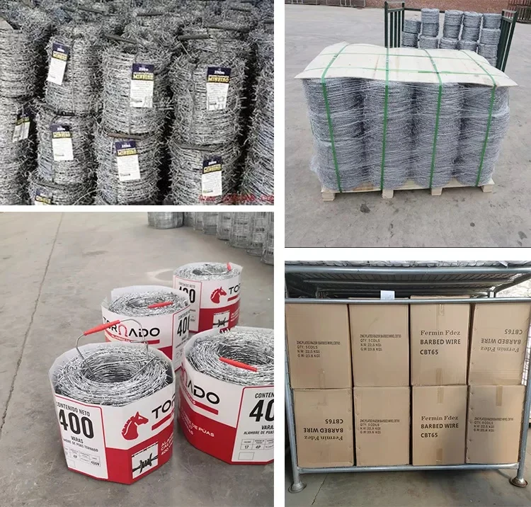 Barbed Wire,Barbed Iron Wire,Protecting Wire Mesh