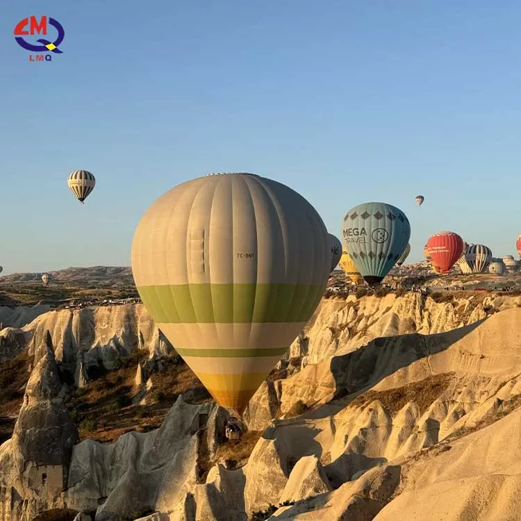 Limeiqi Entertainment Adventure Balloon Rides Inflatable Hot Air Balloon