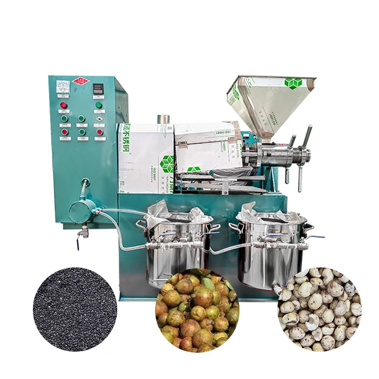 Commercial Automatic Avocado Copra Peanut Oil Cold Press Machine of Extraction Oil Olive