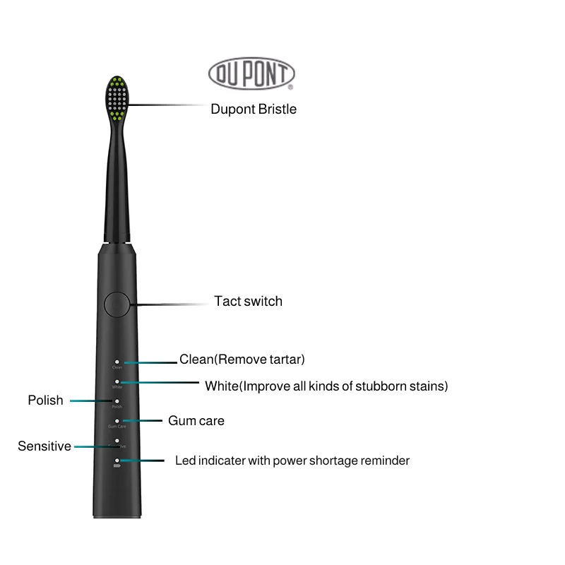 Free Sample 15 years OEM Factory Sonic electric toothbrush for adults and home use