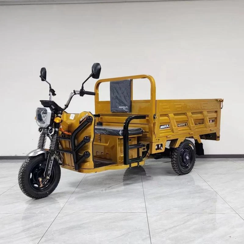 EEC Сертифицированный 200300cc Электрический грузовой трехколесный велосипед fueleicent экологически высокопроизводительный автомобиль