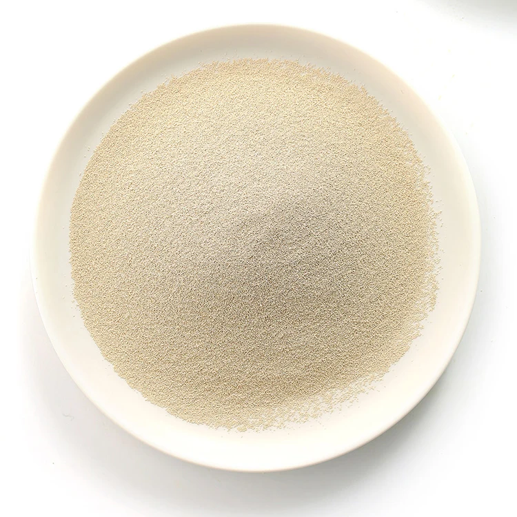 High Sugar Instant Dry Yeast 500g with bv,haccp,halal certification with beautiful price