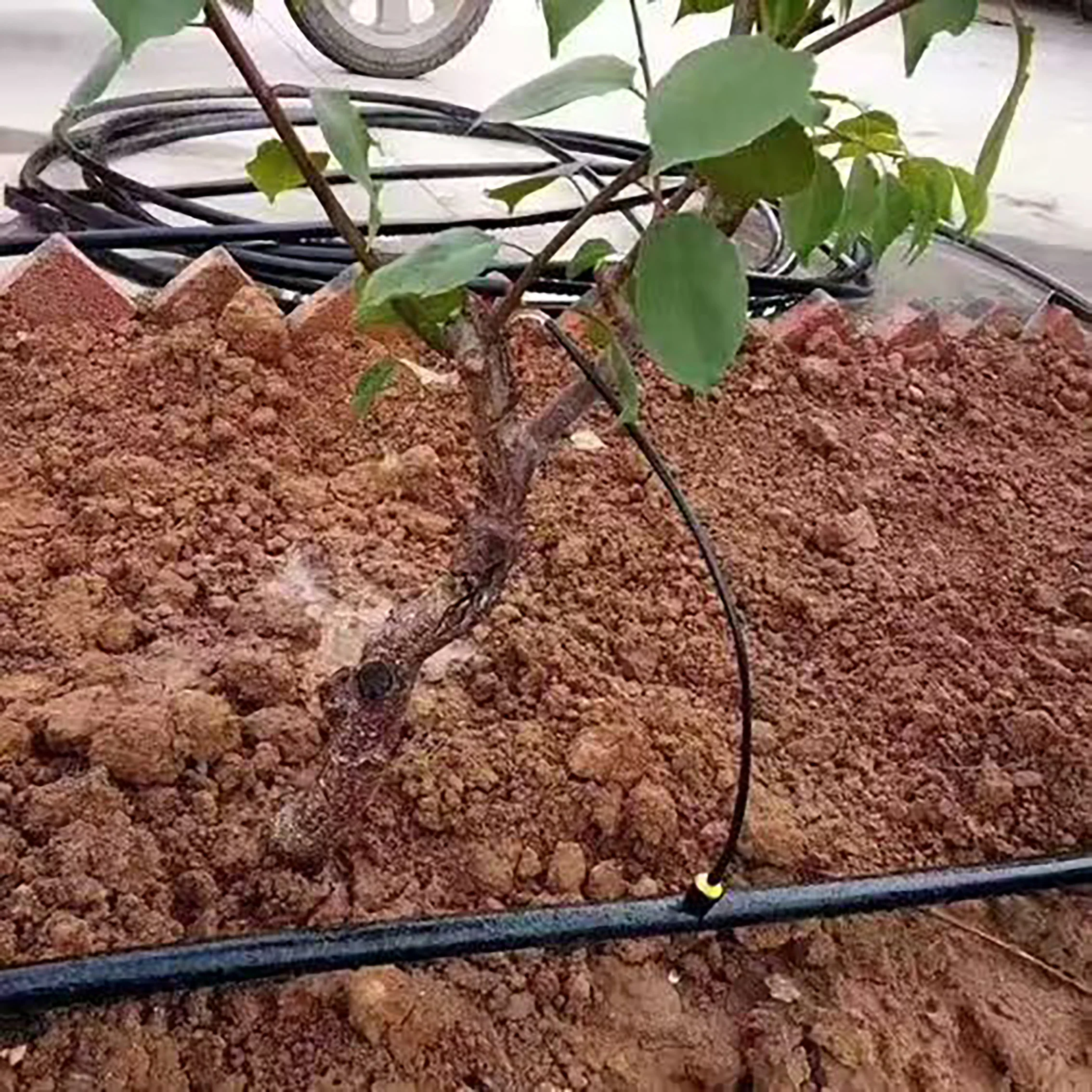 free design cocoa tree irrigation kit center pivot irrigation system 1000m drip irrigation kit for garden