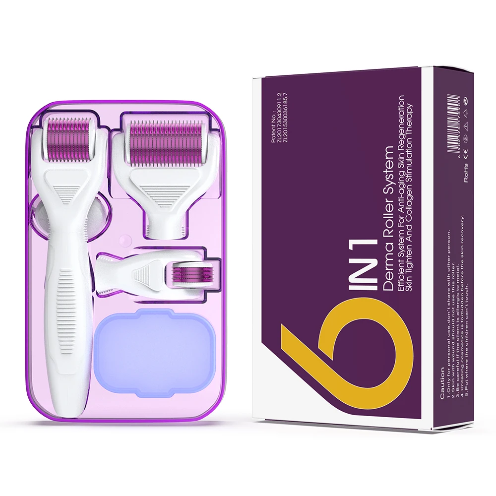 Derma Rolling System Microneedling Kits Drs 6in1 Roller in Different Size for Beauty and Care Home Use